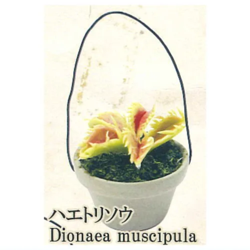 Japan Rainbow Gashapon Capsule - Capsule Toy Gashapon review and price